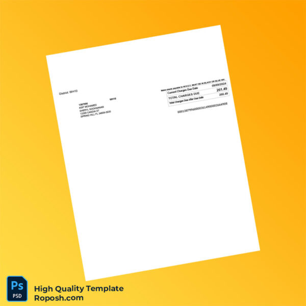 USA Withlacoochee River Electric Cooperative Editable Electric Bill Template in Word and PDF formats 2 page