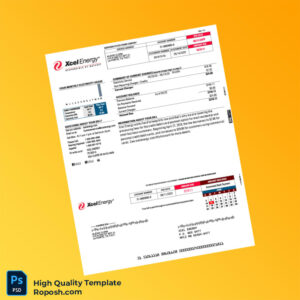 USA Xcel Energy Editable Electricity Bill Template in Word and PDF formats 2 page