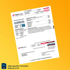 USA Xcel Energy Editable Utility Bill Template in Word and PDF formats