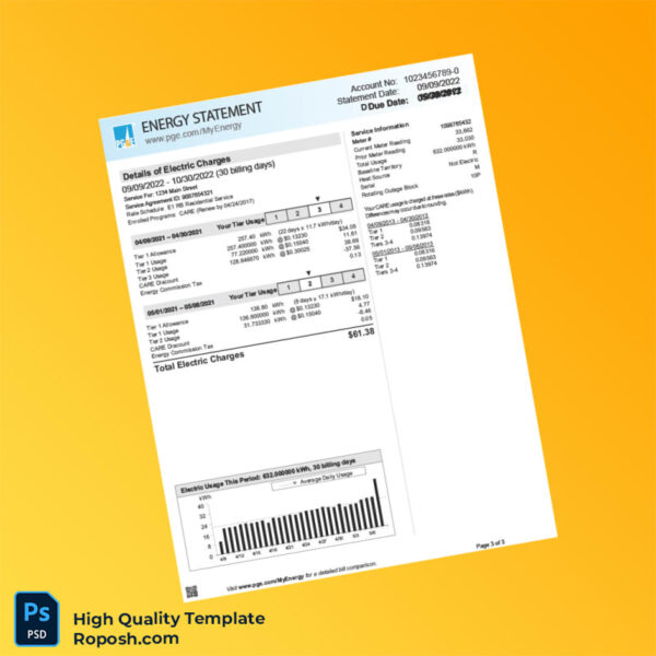 United States Pacific Gas And Electric Company Editable Energy Utility Bill Template in Word and PDF formats 3 page