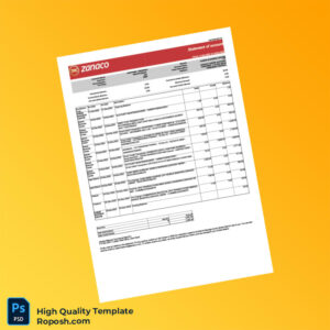 Zambia Zanaco Aspire Account Statement Template in Word and PDF formats