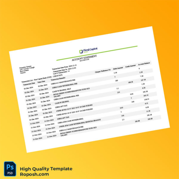 Zimbabwe Bank Statement Template in Word and PDF formats 2 page