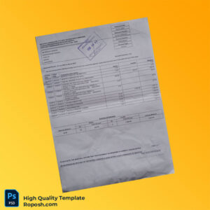 Zimbabwe CBZ Bank Statement Template in Word and PDF formats