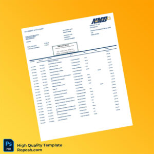 Zimbabwe Nostro FCA Domestic Retail Bank Statement Template in Word and PDF formats 3 page