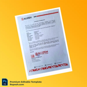 Customizable Afghanistan Alizeh Employment Verification Letter Word & PDF Template
