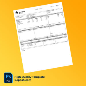Alberta Health Services pay stub word and pdf template
