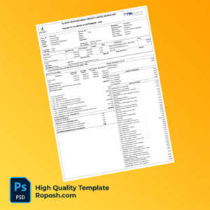 Allegis Services (India) Private Limited payslip word and pdf template Allegis Services (India) Private Limited payslip word and pdf template