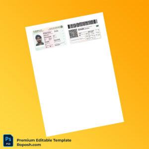 Customizable Bangladesh Issuing Authority Registration Certificate Editable Word & PDF Template