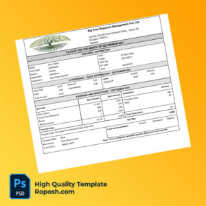 Big Tree Resource Management Pvt Ltd payslip word and pdf template