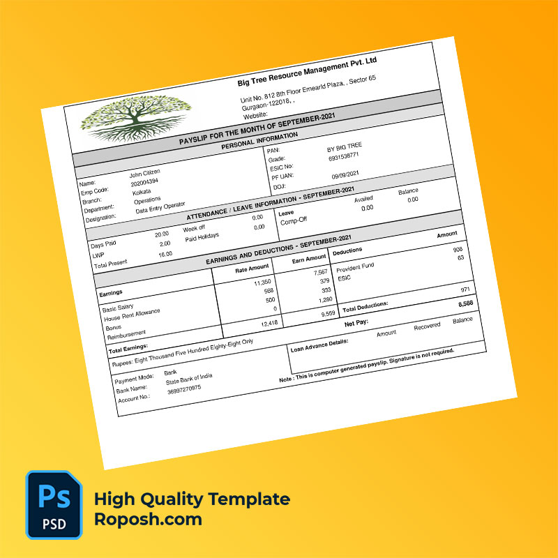 Big Tree Resource Management Pvt Ltd payslip word and pdf template Big Tree Resource Management Pvt Ltd payslip word and pdf template