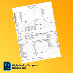 Bikanervala Foods Pvt Ltd payslip word and pdf template