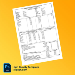 Bird Worldwide Flight Services India PVT LTD payslip word and pdf template