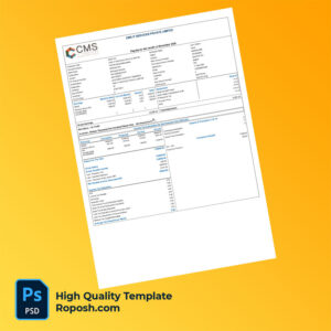 CMS IT Services Private Limited payslip word and pdf template