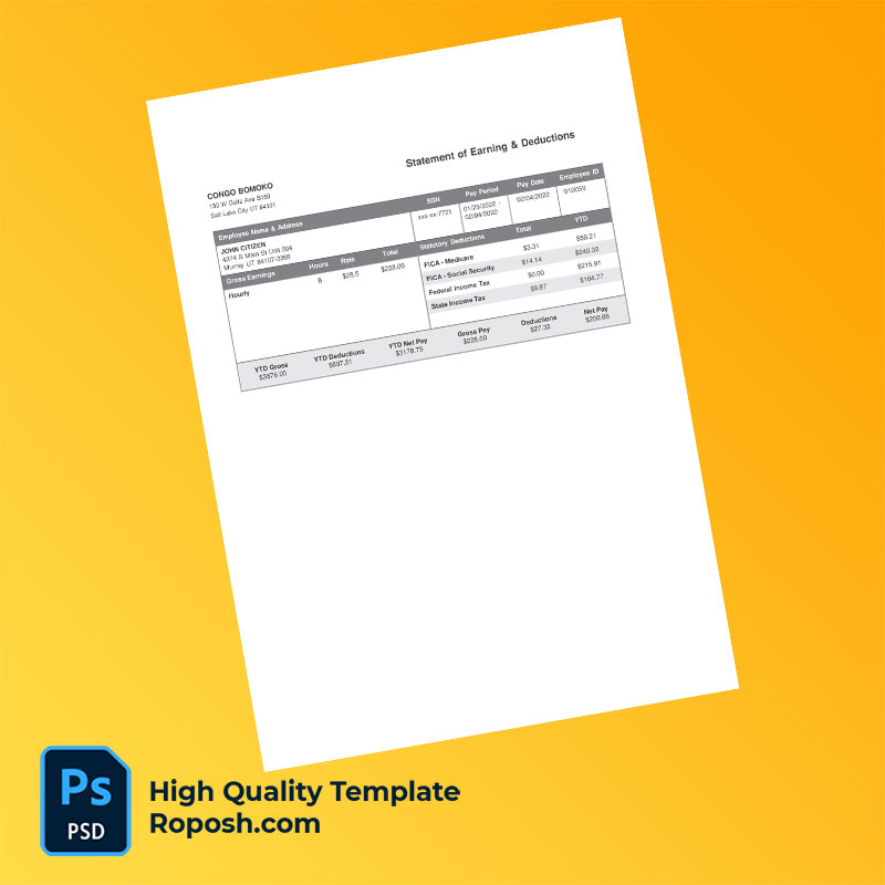 CONGO BOMOKO earning statement word and pdf template CONGO BOMOKO earning statement word and pdf template