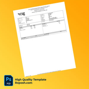 CSG Systems International (India) Private Limited payslip word and pdf template