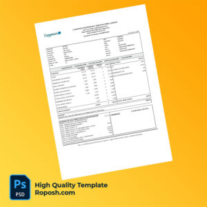 Capgemini Technology Services India Limited payslip word and psd template Capgemini Technology Services India Limited payslip word and psd template