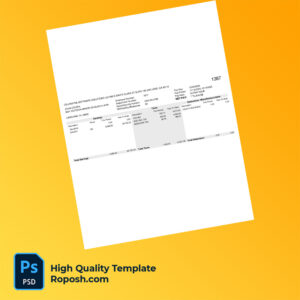 Celandyne Software Solutions LLC earning statement word and pdf template Celandyne Software Solutions LLC earning statement word and pdf template