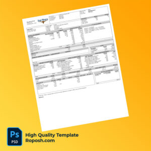 City of Fort Worth pay stub word and pdf template City of Fort Worth pay stub word and pdf template