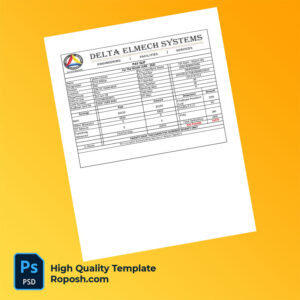 Delta Elmech Systems payslip word and pdf template
