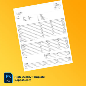 Easy Financial Services Inc pay stub word and pdf template