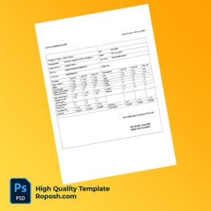 Efftronics Systems Pvt Ltd payslip word and pdf template Efftronics Systems Pvt Ltd payslip word and pdf template