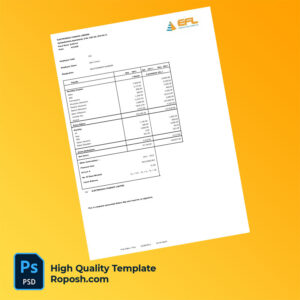 Electronica Finance Limited payslip word and pdf template