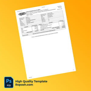 Epam Systems India Private Limited payslip word and pdf template