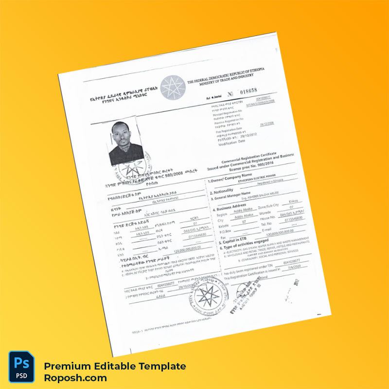 Customizable Ethiopia Ministry of Trade and Industry TIN Certificate Editable Word & PDF Template 2 page Customizable Ethiopia Ministry of Trade and Industry TIN Certificate Editable Word & PDF Template 2 page
