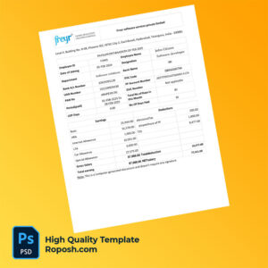Freyr software services private limited payslip word and pdf template