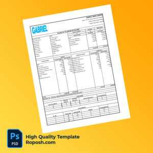 Gabriel India Limited payslip word and pdf template