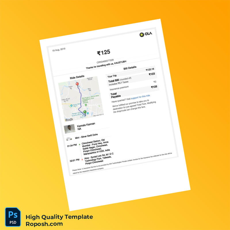 India ANI Technologies Invoice Template in Word and PDF formats 3 page India ANI Technologies Invoice Template in Word and PDF formats 3 page