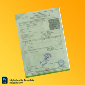 India Qualix Information System LLP Invoice Template in Word and PDF formats 3 page