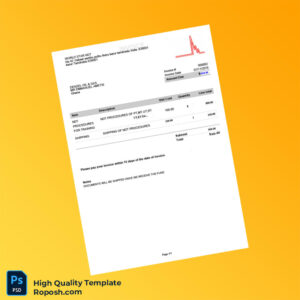 India WORLD STAR NDT Invoice Template in Word and PDF formats