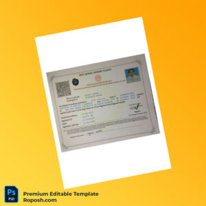 Customizable India West Bengal Nursing Council Registration Certificate Editable Word & PDF Template