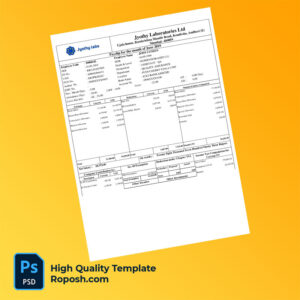 Jyothy Laboratories Ltd payslip word and pdf template Jyothy Laboratories Ltd payslip word and pdf template