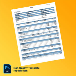 MSG Chicago LLC payslip word and pdf template MSG Chicago LLC payslip word and pdf template