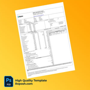 Mylan Laboratories Limited payslip word and pdf template