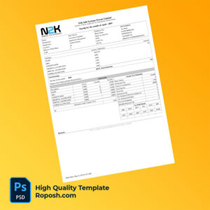 N2K Info Systems Private Limited payslip word and pdf template