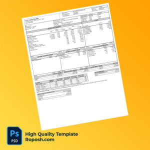 NYU Langone Hospitals pay stub word and pdf template NYU Langone Hospitals pay stub word and pdf template