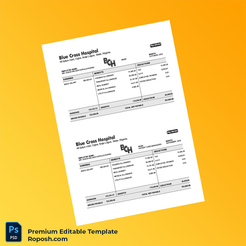 Customizable Nigeria Blue Cross Hospital Employment Verification Letter Word & PDF Template 8 page Customizable Nigeria Blue Cross Hospital Employment Verification Letter Word & PDF Template 8 page