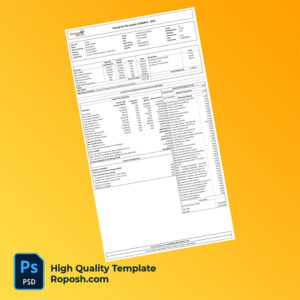 Omega Healthcare payslip word and pdf template