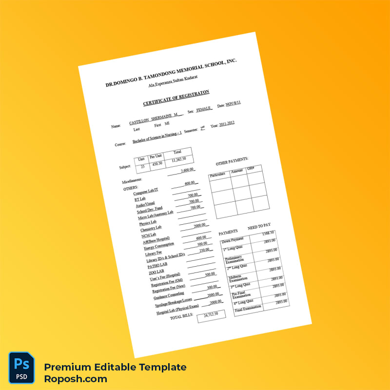 Customizable Philippines Dr Domingo B Tamondong Memorial School Registration Certificate Editable Word & PDF Template Customizable Philippines Dr Domingo B Tamondong Memorial School Registration Certificate Editable Word & PDF Template