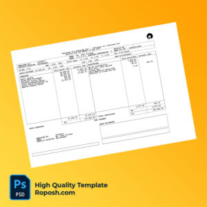 Reliance Jio Infocomm Ltd payslip word and pdf template