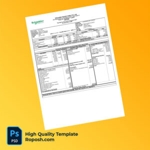 Schneider Electric India Pvt Ltd payslip word and pdf template