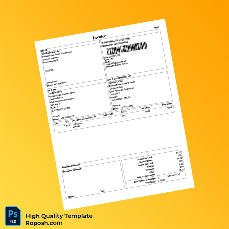 Switzerland Doina Frunzareanu Invoice Template in Word and PDF formats 3 page Switzerland Doina Frunzareanu Invoice Template in Word and PDF formats 3 page