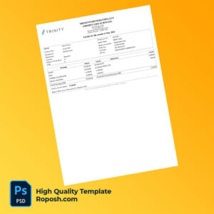 Trinity Partners India LLP payslip word and pdf template