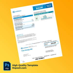 USA Consolidated Edison Editable Electricity Bill Template in Word and PDF formats