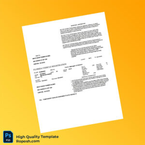 USA Department of Highway Safety and Motor Vehicles Vehicle Registration Certificate Template in Word and PDF formats