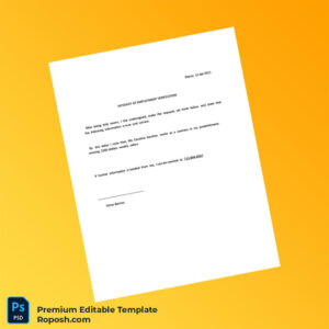 Customizable USA Victor Berrios Employment Verification Letter Word & PDF Template