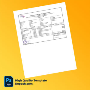 United Engineers Alliance PVT LTD payslip word and pdf template